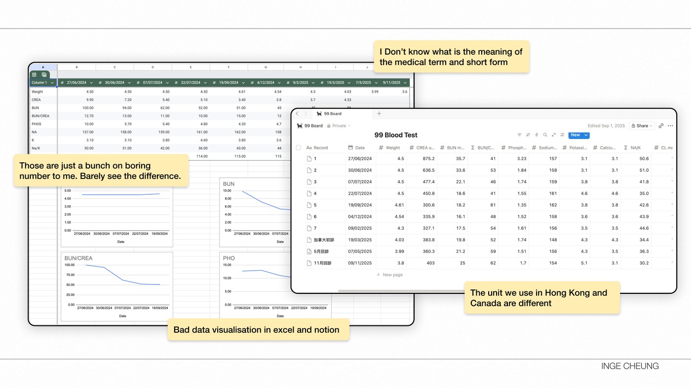 A spreadsheet and a Notion database tracking DOGE's bloodwork by hand, annotated with the reasons it wasn't working